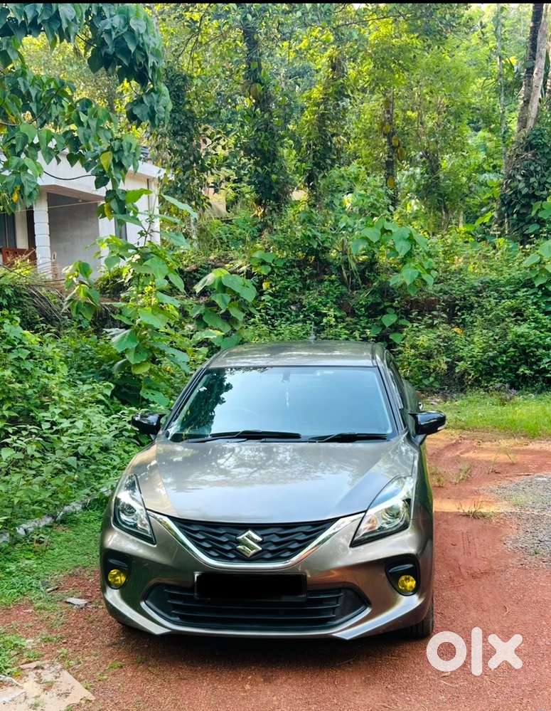 Maruti Baleno 2019 Year