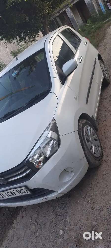 Maruti Suzuki Celerio 2015 Year Last Cng Green  New Tayer