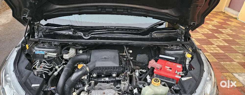 Tata Nexon 2024 Petrol Well Maintained