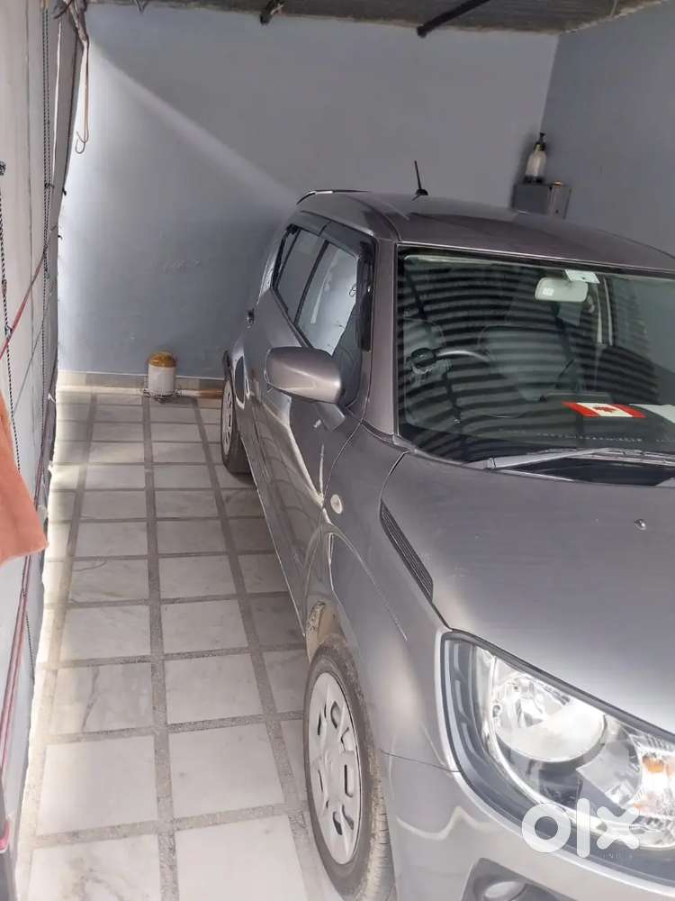 Maruti Suzuki Ignis 2023 Petrol 6500 Km Driven