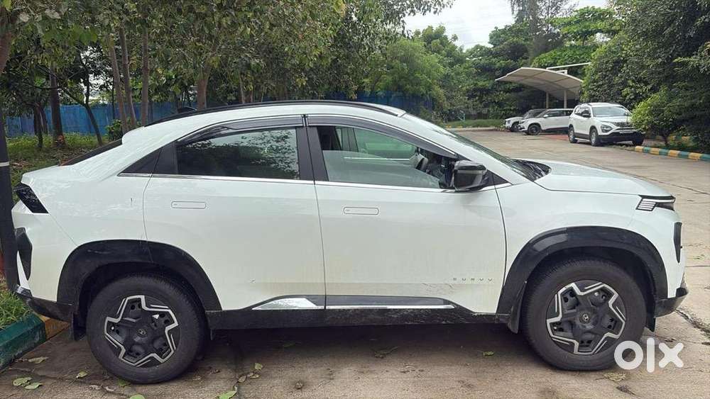 Tata Curvv 2025 Petrol Well Maintained