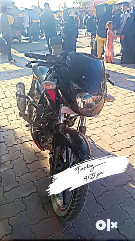 Pulsar second store hand bike olx