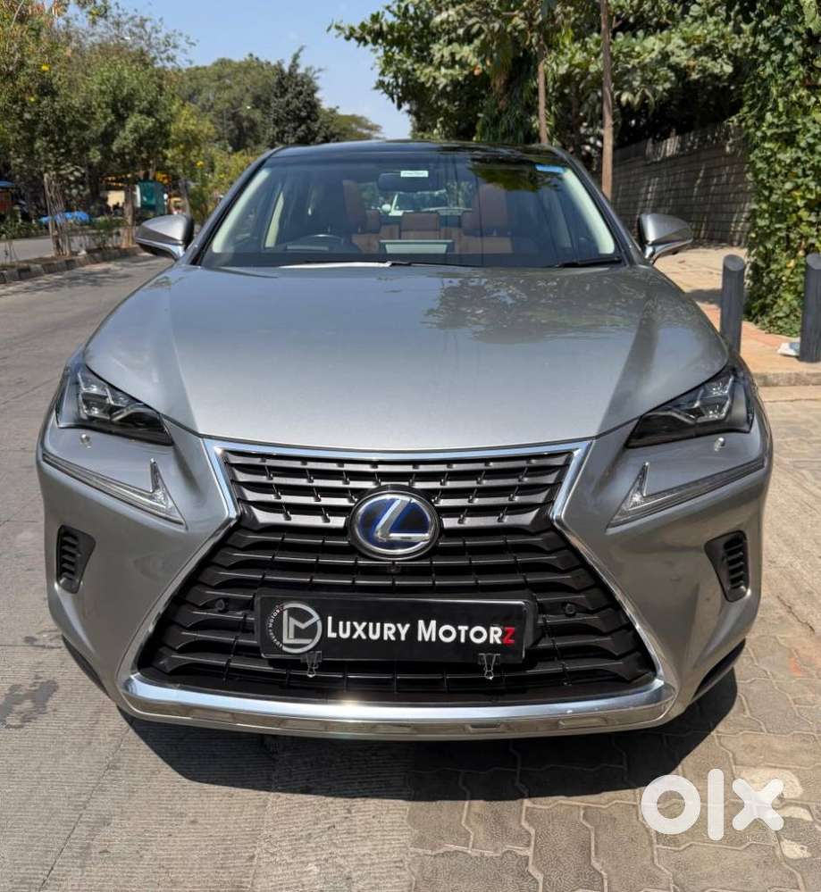Lexus Nx 300h, 2019, Petrol