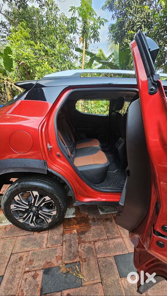 One Year Old Kiger For Sale