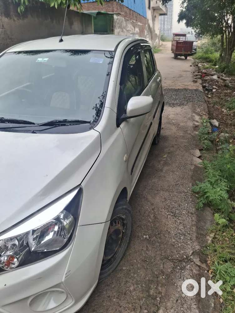 Maruti Suzuki Celerio 2019 Cng & Hybrids
