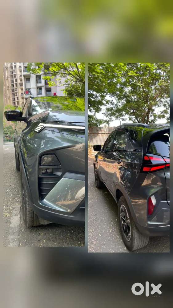 Tata Nexon Fearless+s Dct Duel Tone Daytona Grey Petrol 2025