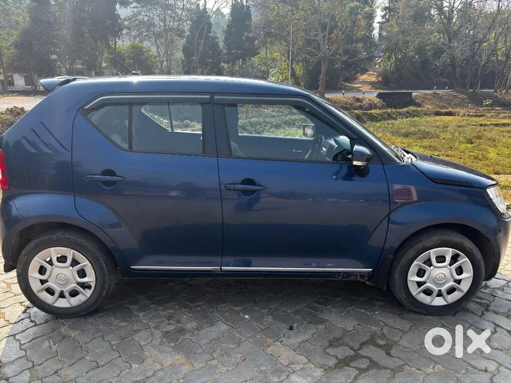 Maruti Suzuki Ignis 2019