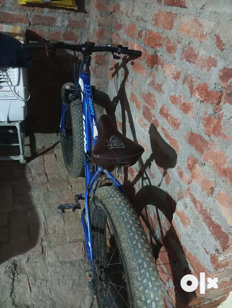 Olx fat best sale tyre cycle