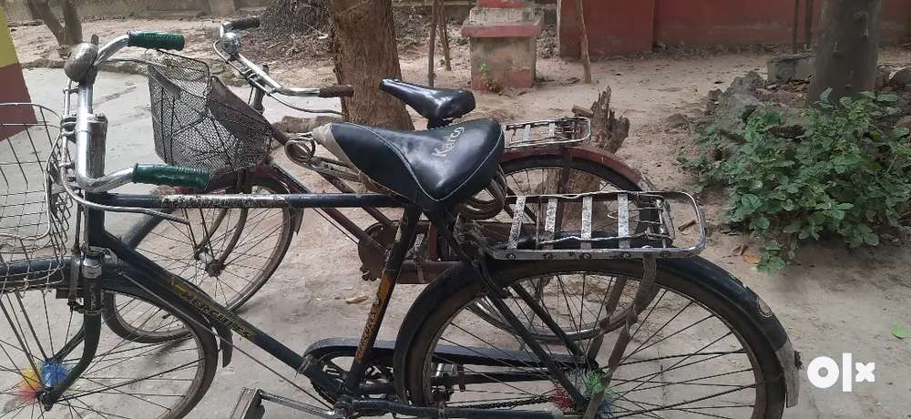 Lady in Bikes in Eluru OLX India