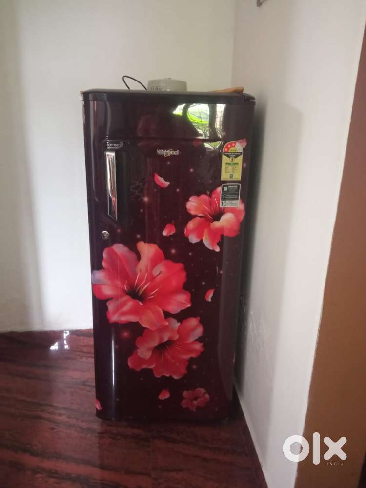 Single Door Refrigerator (2021) - Well Maintained & Clean