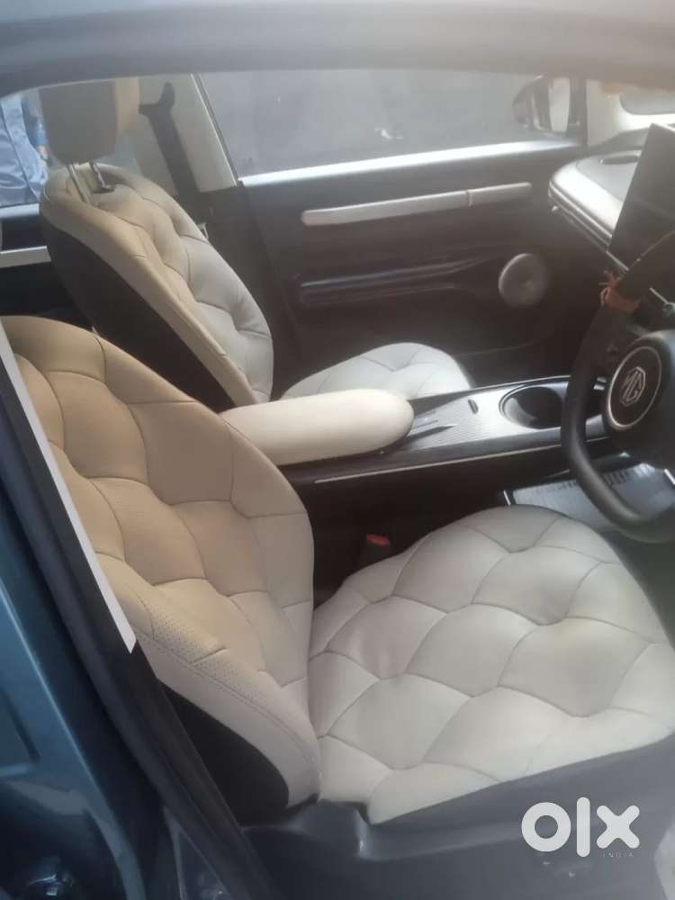 Mg Windsor Ev, 2025, Electric