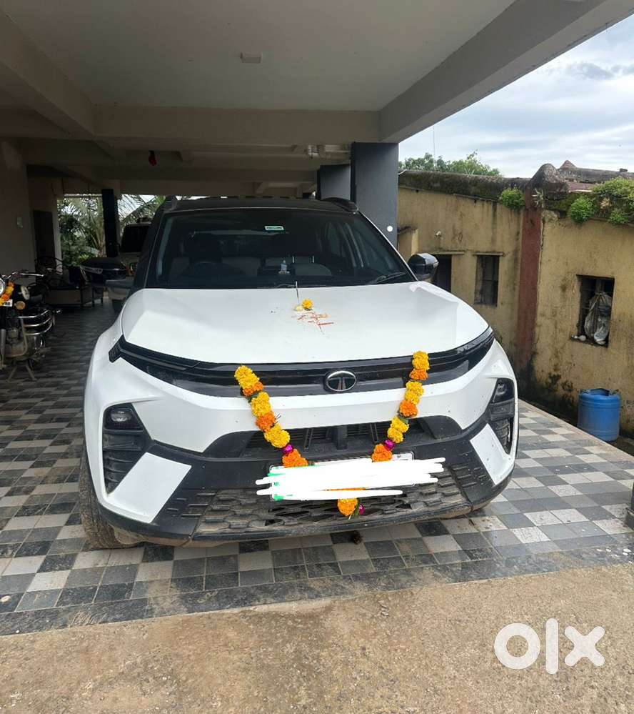 Tata Nexon 2024 Petrol Good Condition
