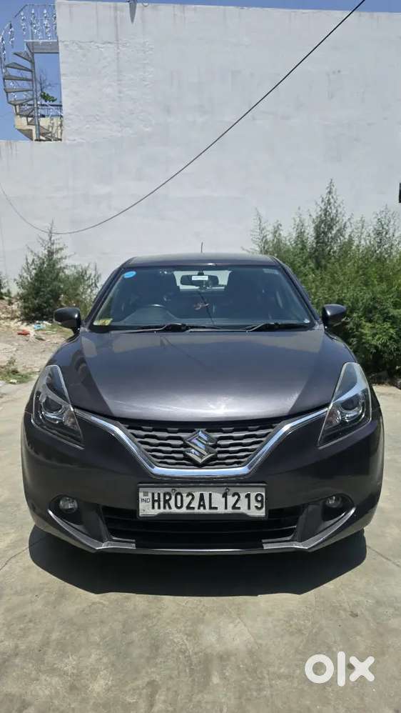 Baleno (grey)