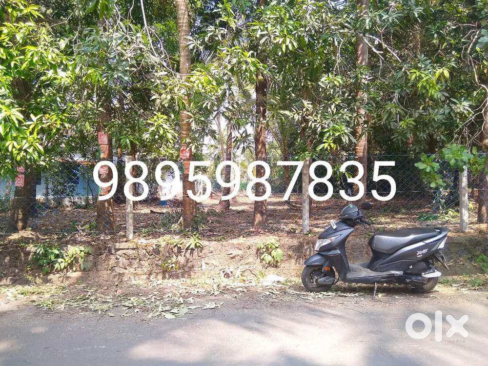 13.5 cent land for sale near kochampattu temple cherai p. O Lands