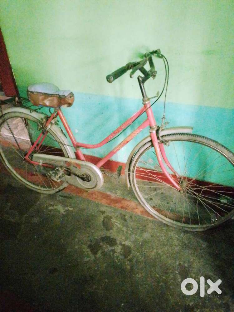 Girls Bicycle