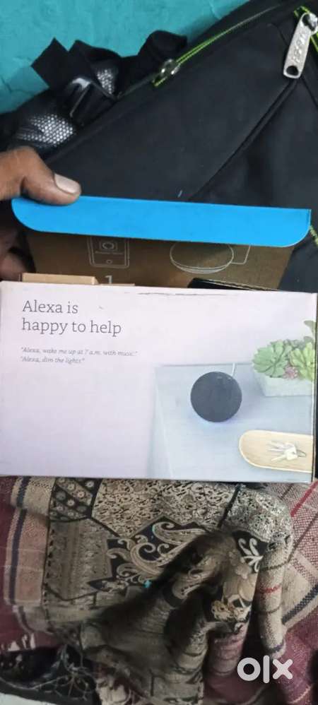 Alexa 1gen