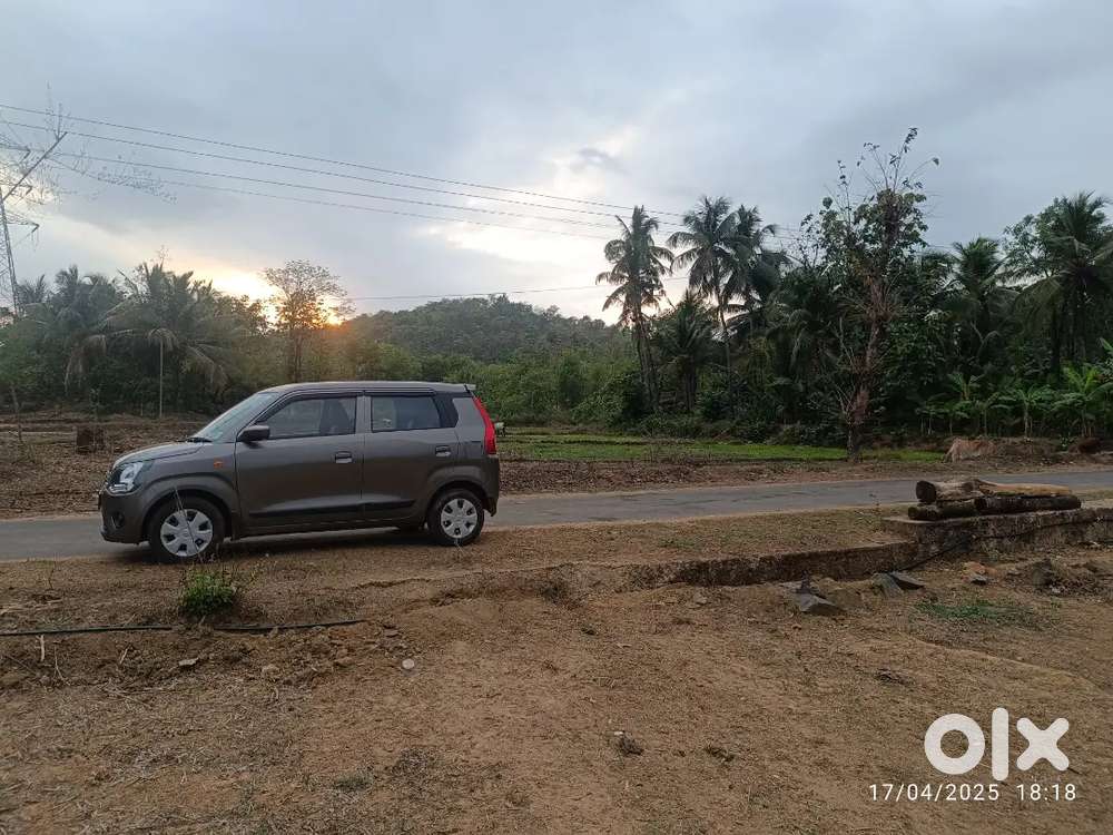Maruti Suzuki Wagon R 2024 Petrol 9000 Km Driven
