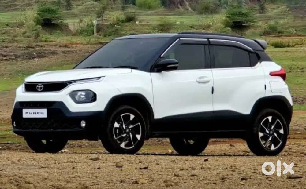 2 Months Old