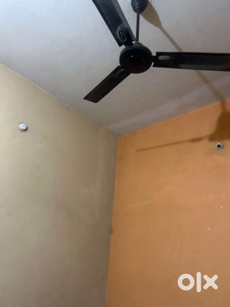1bhk flat rent