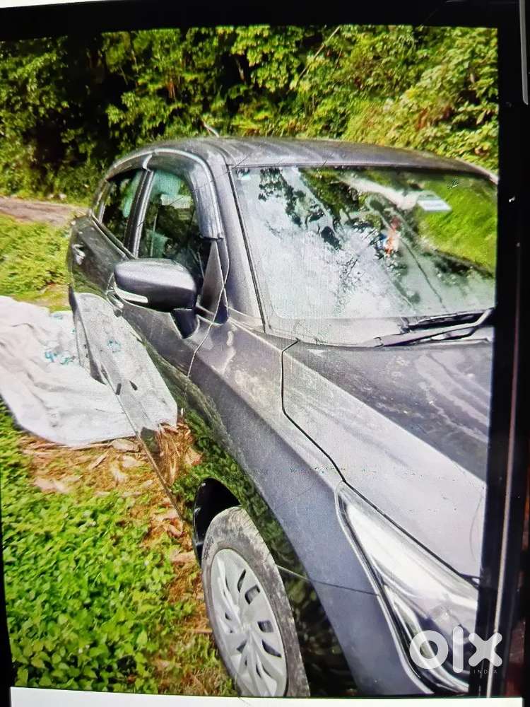 Well N Best Car