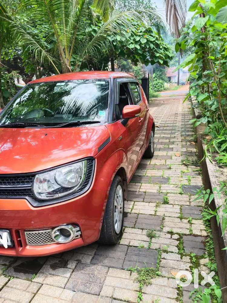Maruti Suzuki Ignis 2017 Diesel Well Maintained