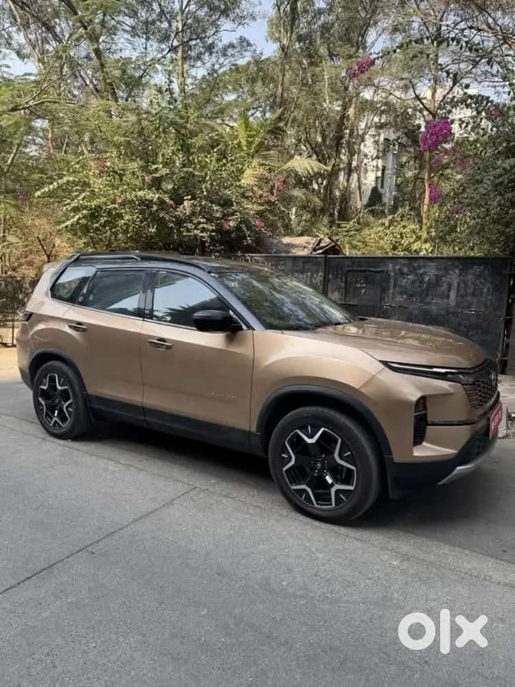 Self Drive Rental Cars