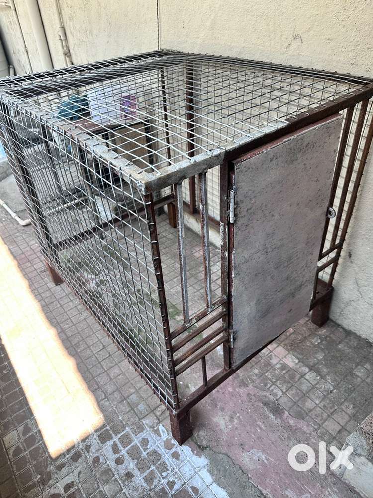 Dog canal ugent sell