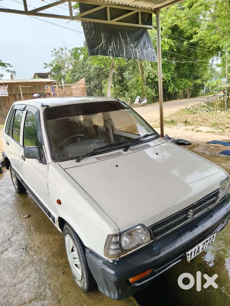 2013 Model