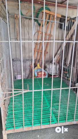 Dog cage clearance in olx