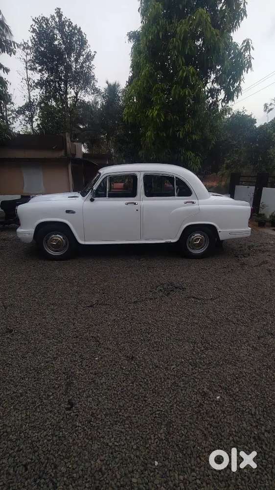 Ambassador Grand  2009 Single Owner