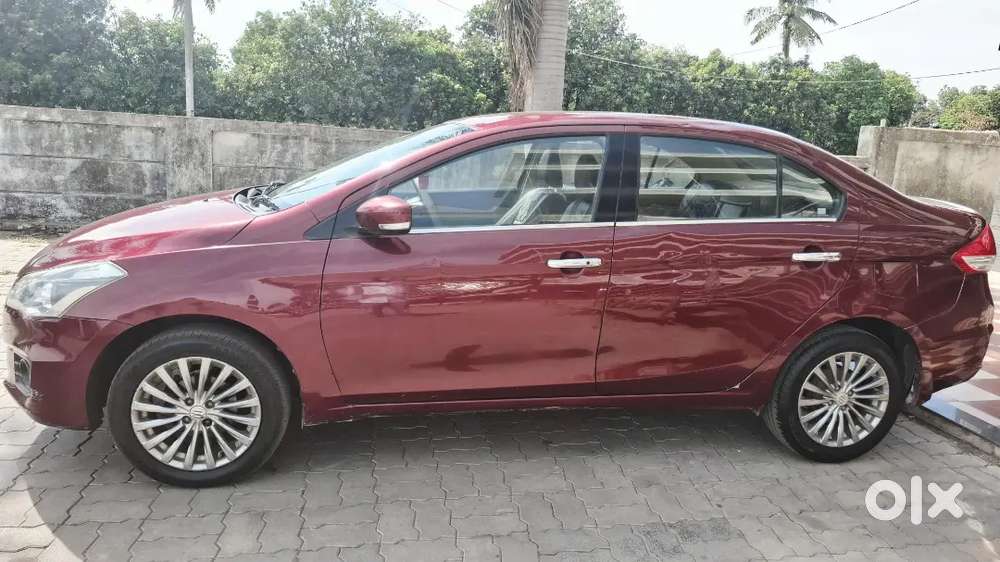 Ciaz Zdi Diesel