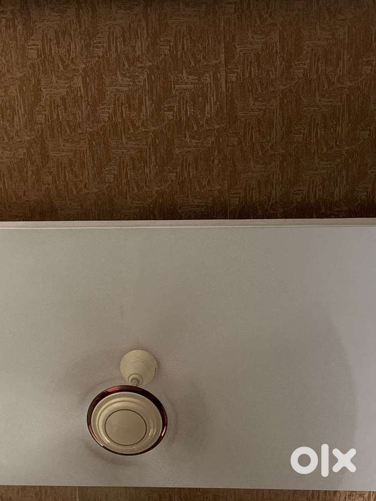 Single Room available