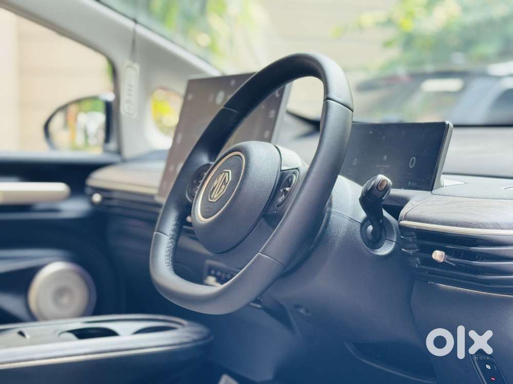 Mg Windsor Ev Essence Pro, 2025, Electric