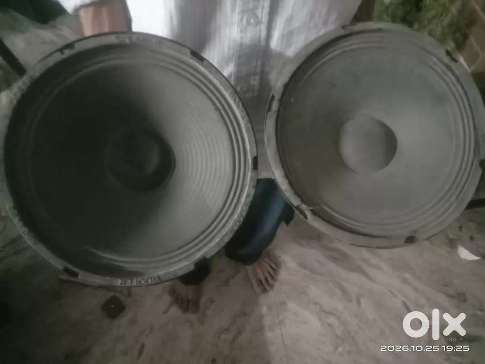 2 speaker 10 inch