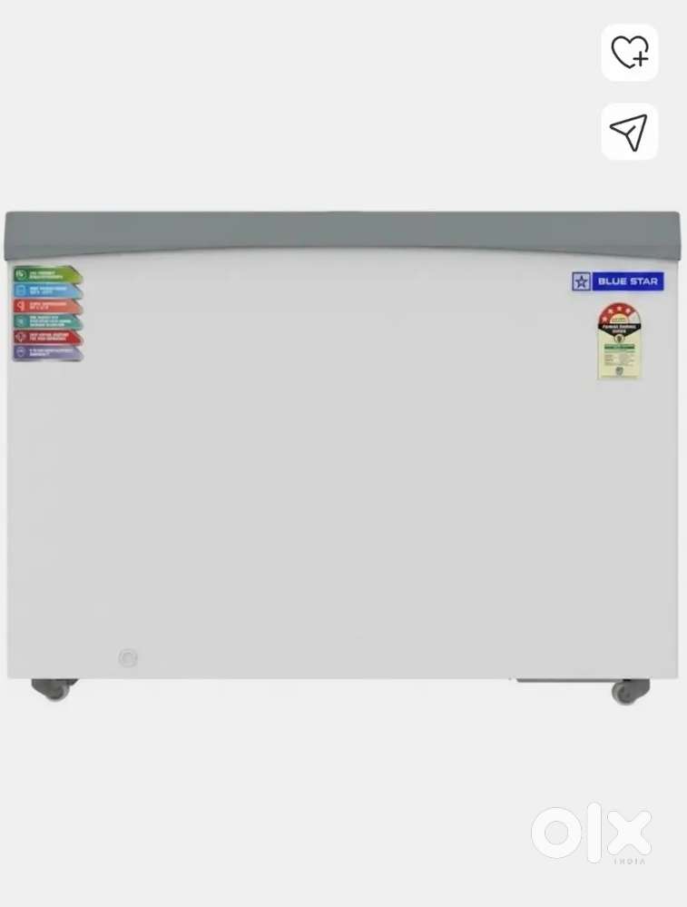 Blue Star 315 L Double Door deep freezer