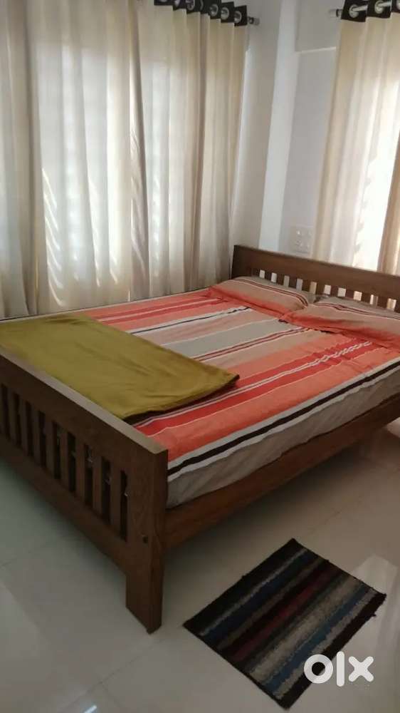 1BHK in Panampilly Nagar