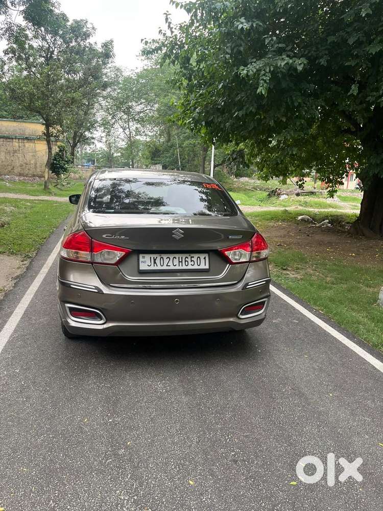 Maruti Suzuki 2019 Manual