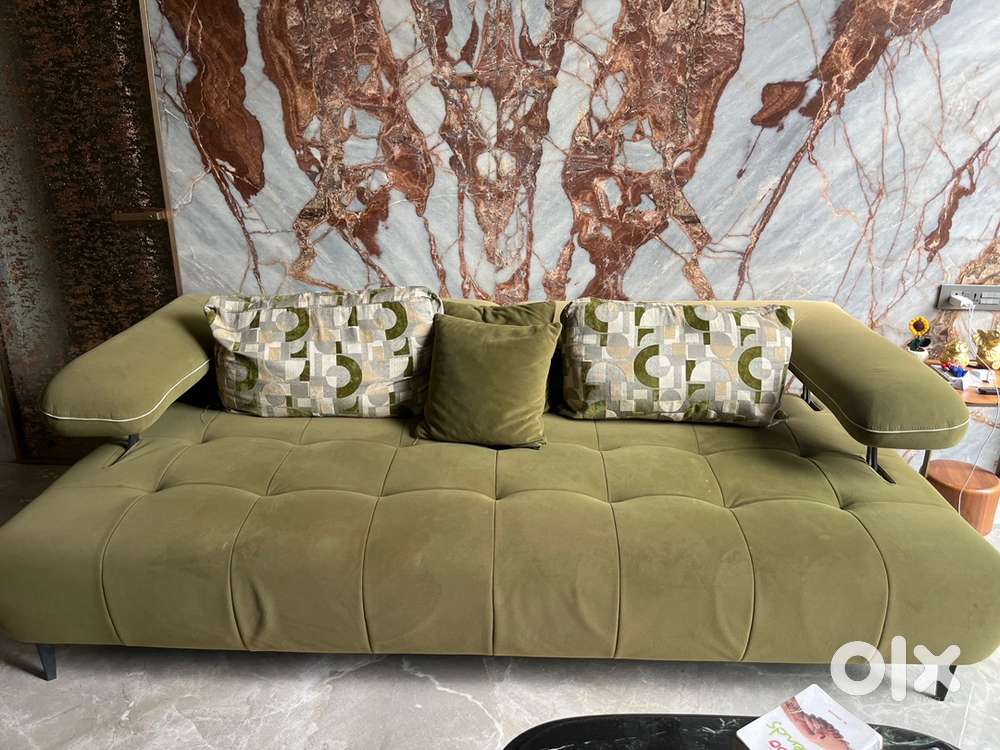 Luxury sofa with modern style