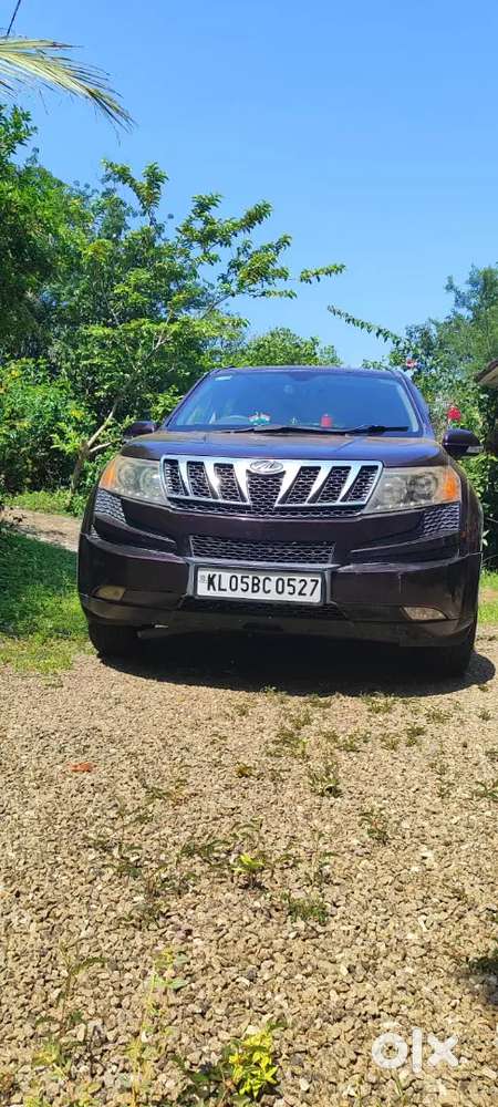 Xuv 500 Grape Colour