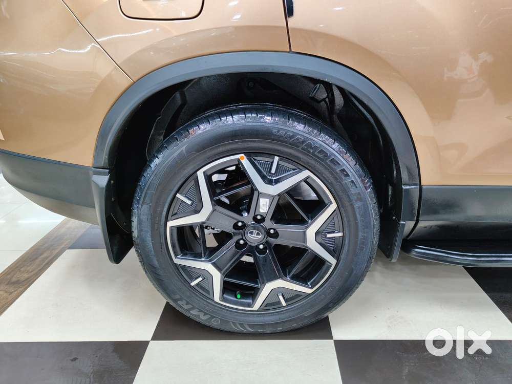 Tata Safari Accomplished Plus Dark Edition, 2024, Diesel