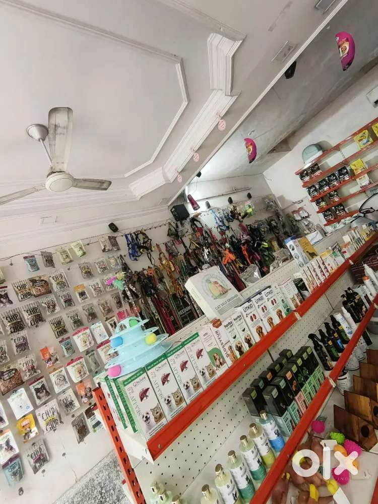 Pet food store also online work