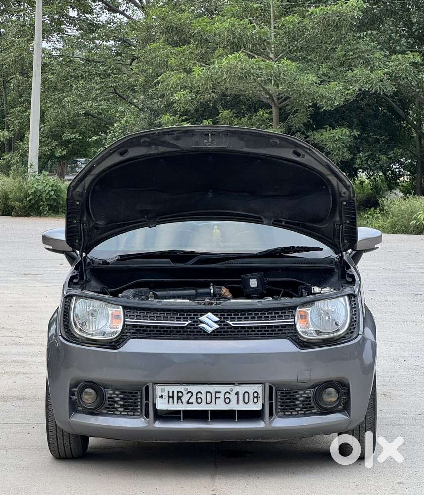 Maruti Suzuki Ignis 1.2 Delta Mt, 2017, Cng & Hybrids