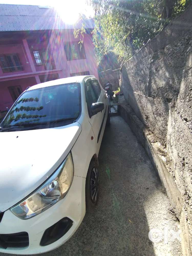 Maruti Suzuki 1000 2019 Petrol Good Condition