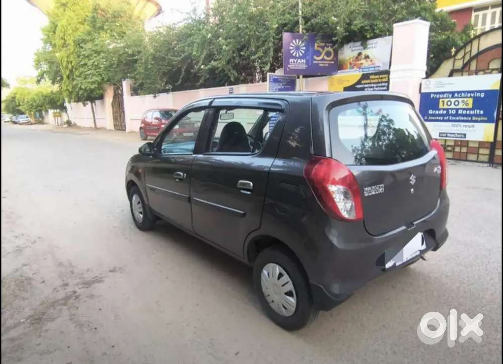 Alto 800 Model 2022