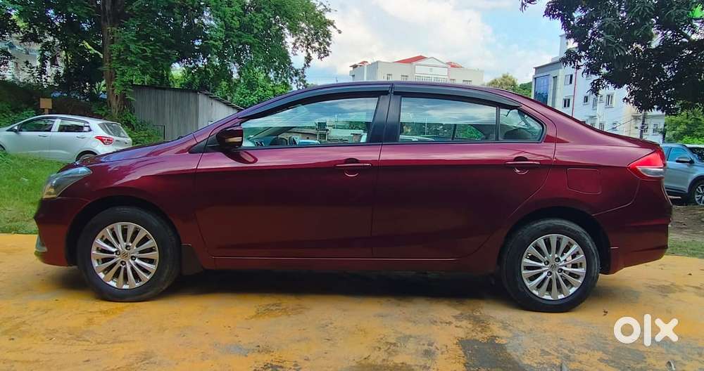 Maruti Suzuki Ciaz Smart Hybrid Delta , 2019, Petrol