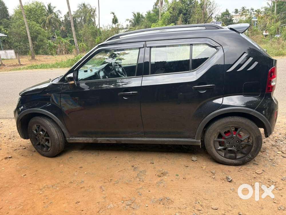 Maruti Suzuki 2024 Year Car