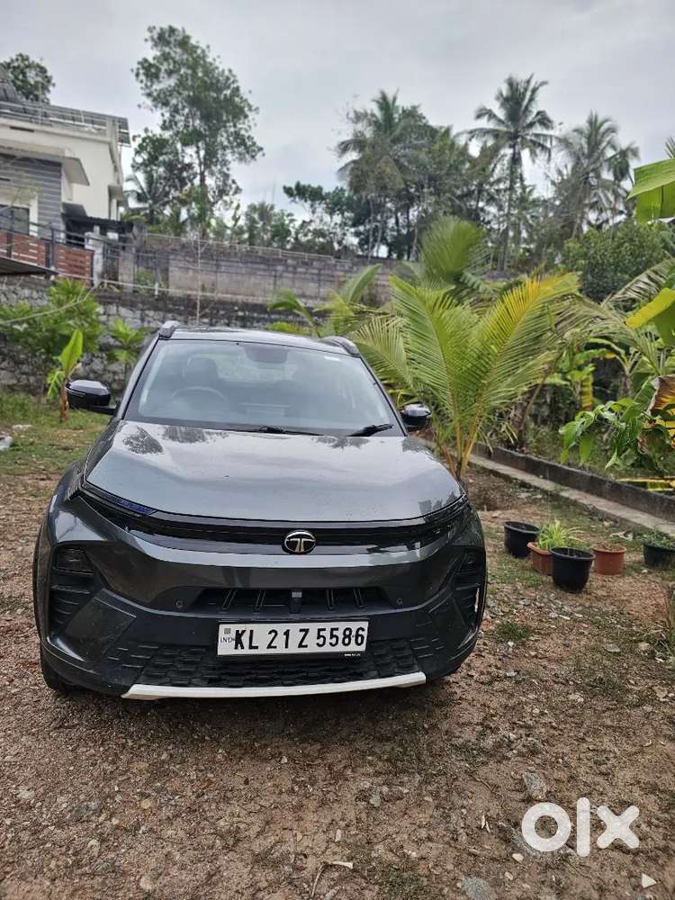 2024 Tata Nexon Creative Plus Petrol Mt  39,900 Km  10 Lakh