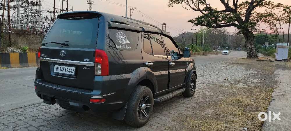 Family Cartata Safari