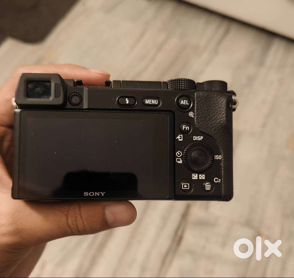 Sony Alpha 6100 with 16-50mm kit lens