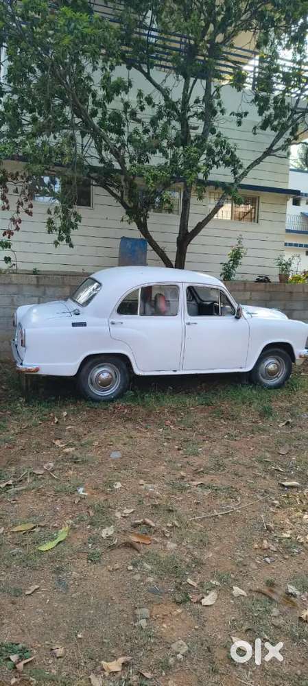 Ambassador Ambassador 1980 Diesel Well Maintained